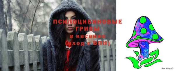 амф Осташков