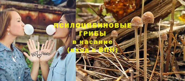 спиды Осинники