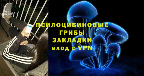 амф Осташков