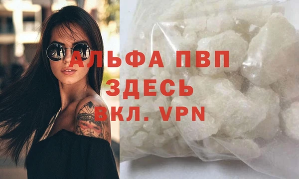 амф Осташков